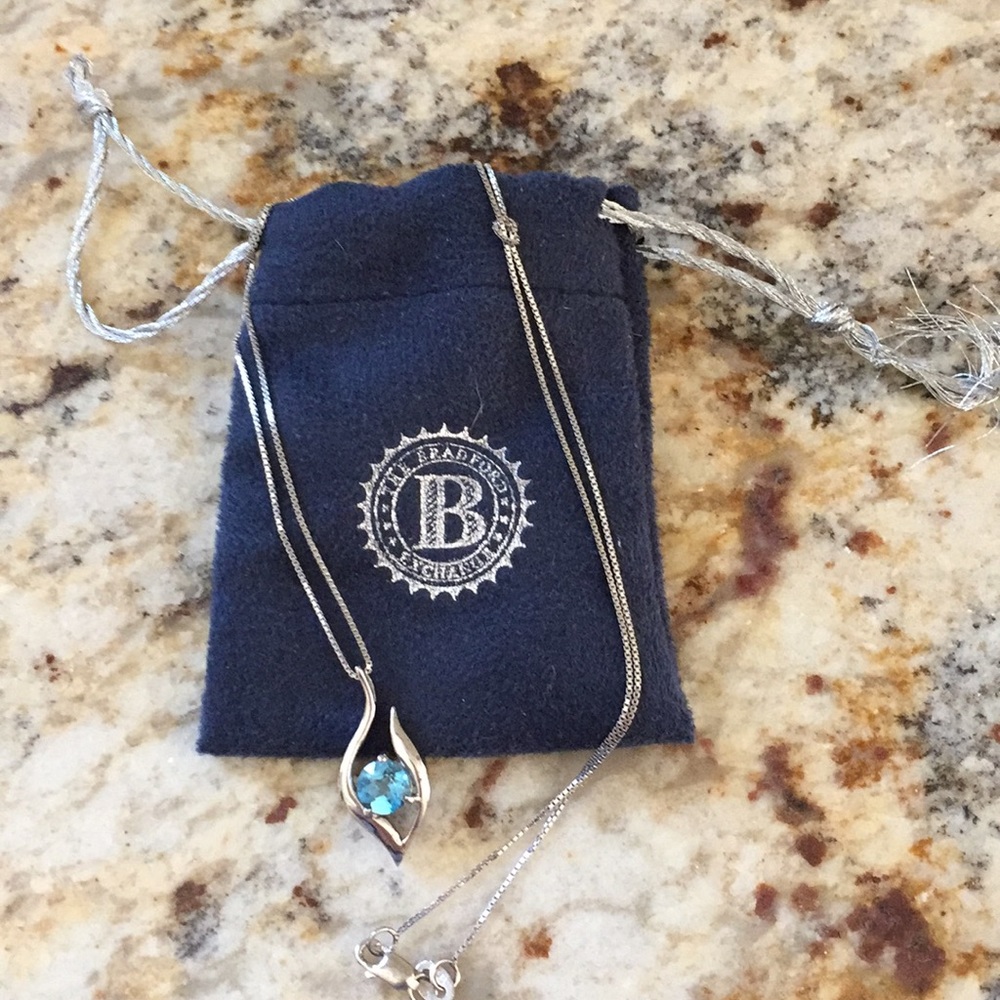 Bradford exchange necklace